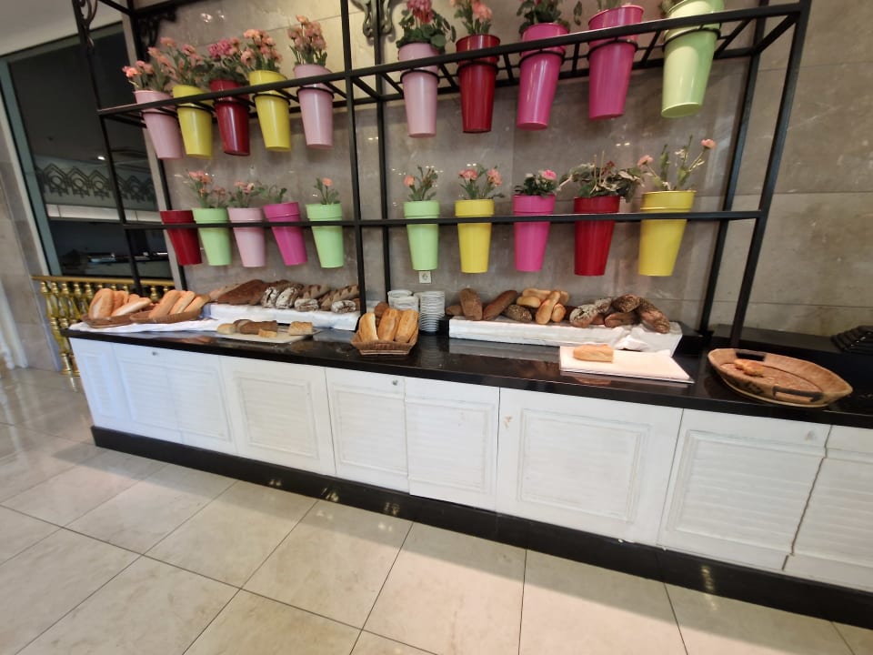 Gastro Well Palace Side