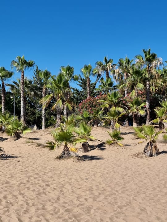 Strand Club Grand Aqua