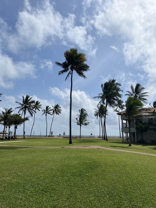 Gartenanlage Club Hotel Dolphin