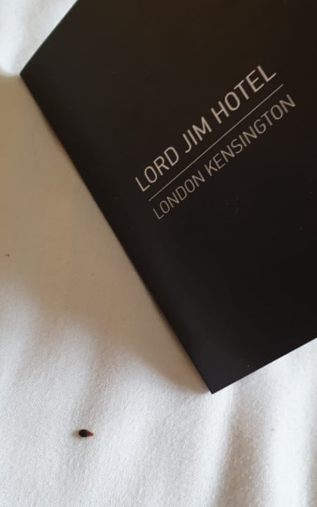 Zimmer Hotel Lord Jim