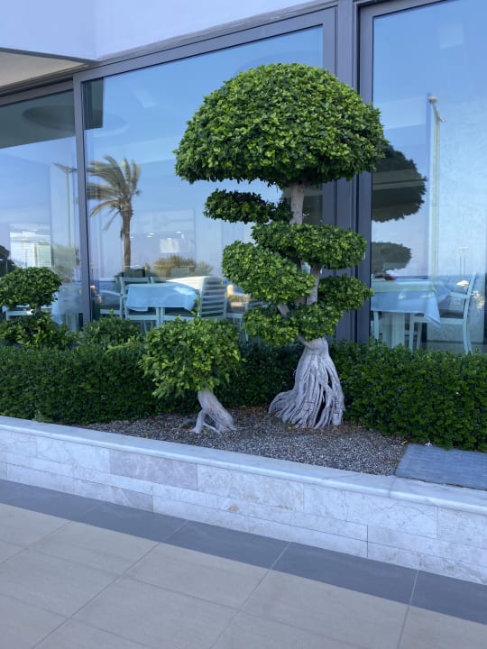 Außenansicht Rhodos Horizon Resort