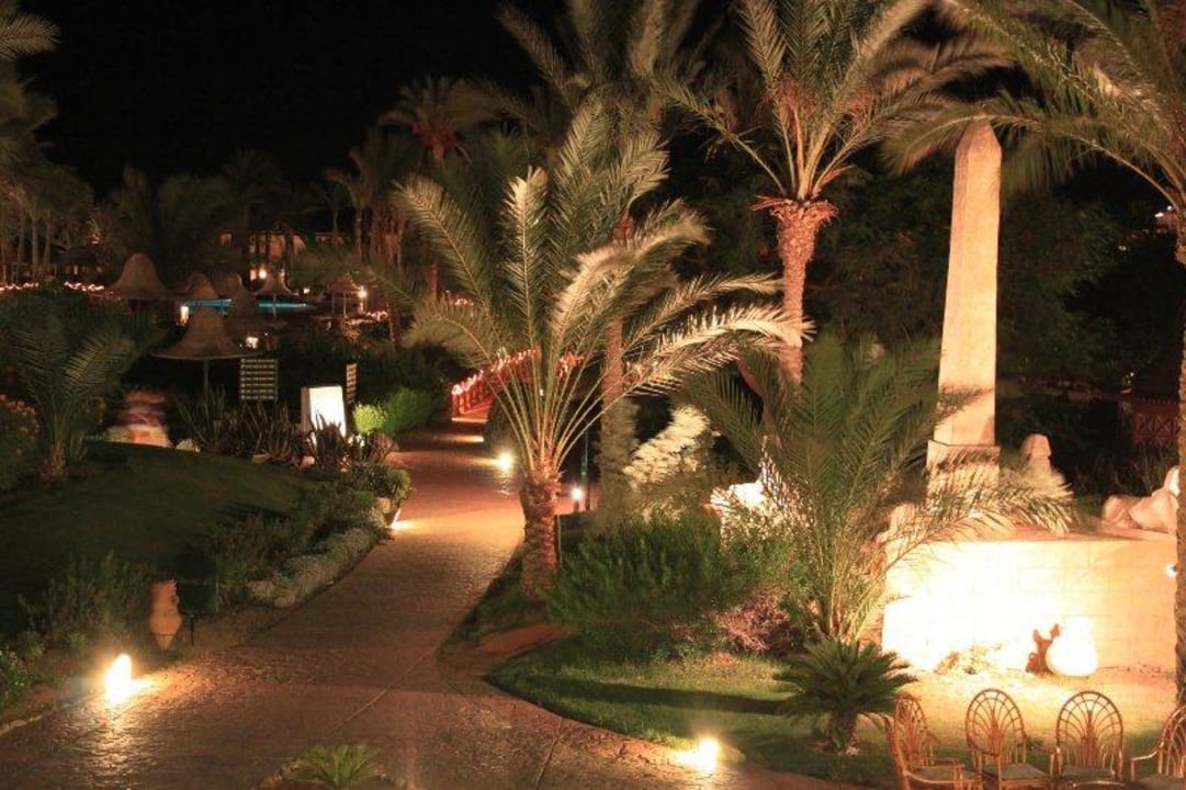 Ogrod wieczorem Parrotel Beach Resort