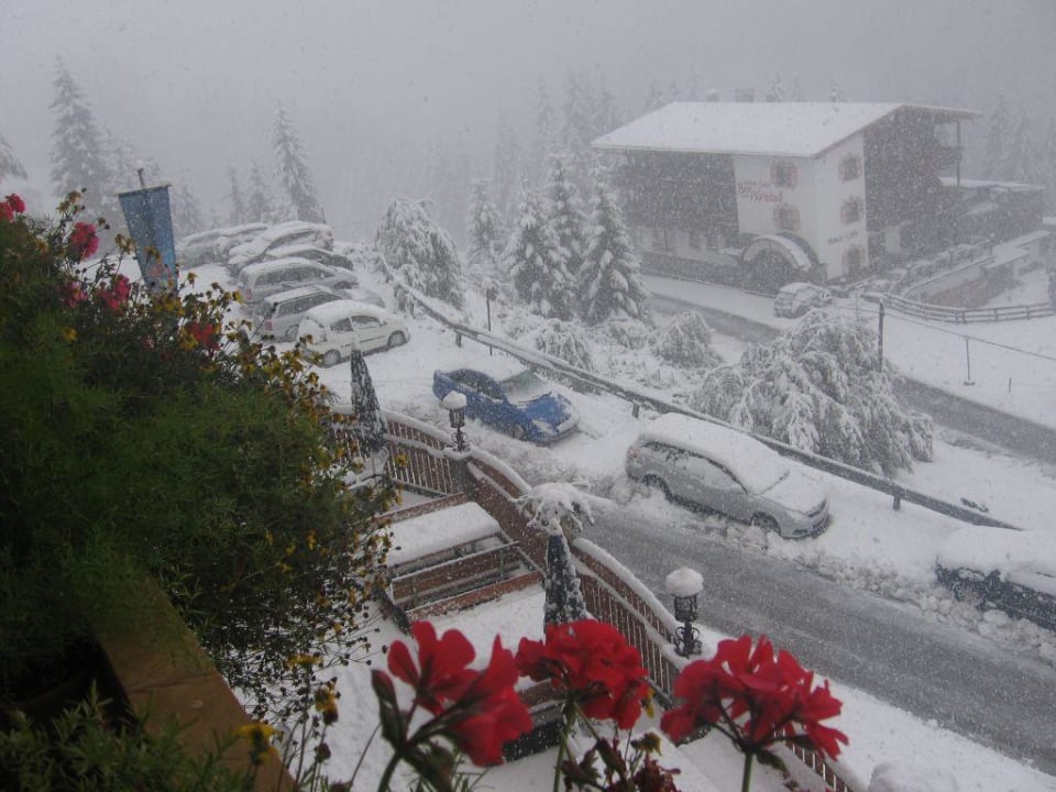 Winter Hotel Almhof Roswitha