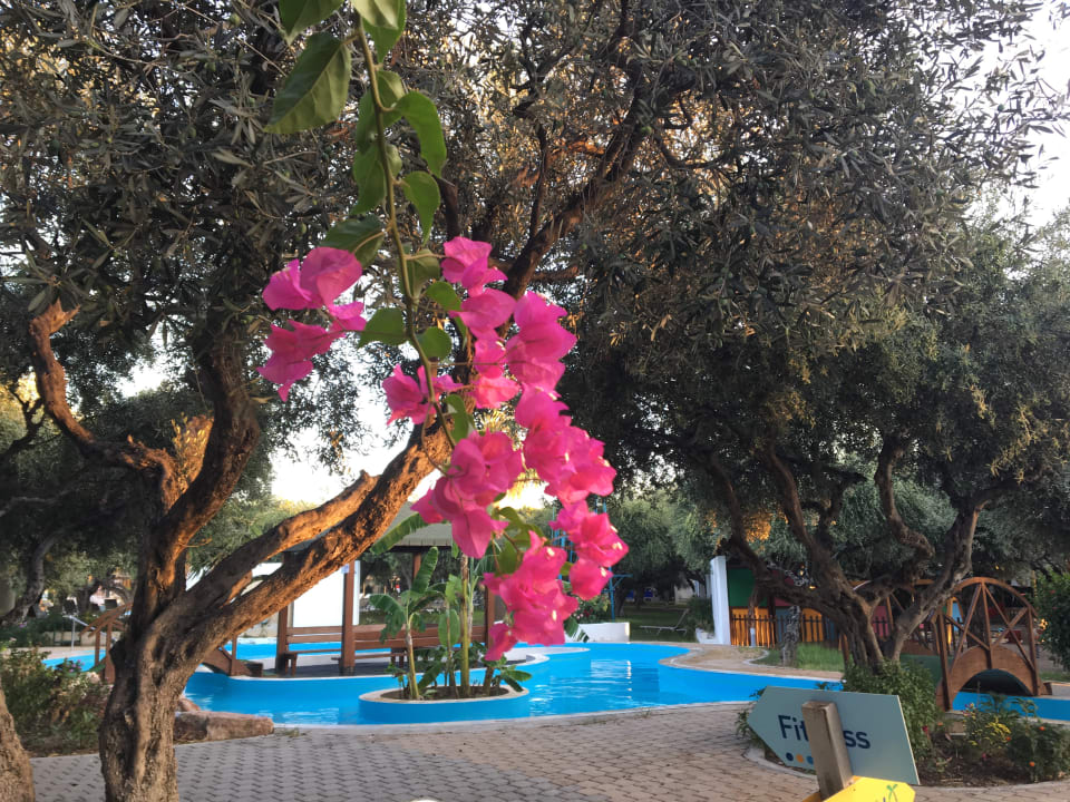 Pool TUI KIDS CLUB Alex Beach