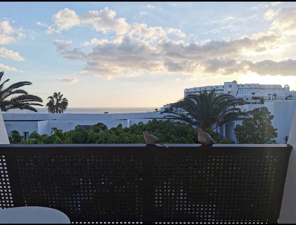 Ausblick Sol Fuerteventura Jandia - All Suites