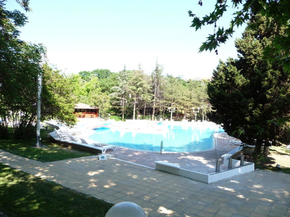 Pool des Hotels Hotel Lebed