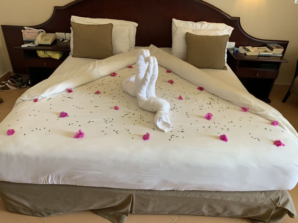 Zimmer LABRANDA Royal Makadi