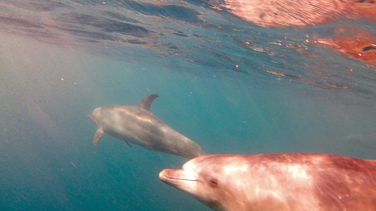 Sport & Freizeit Mövenpick Resort El Quseir