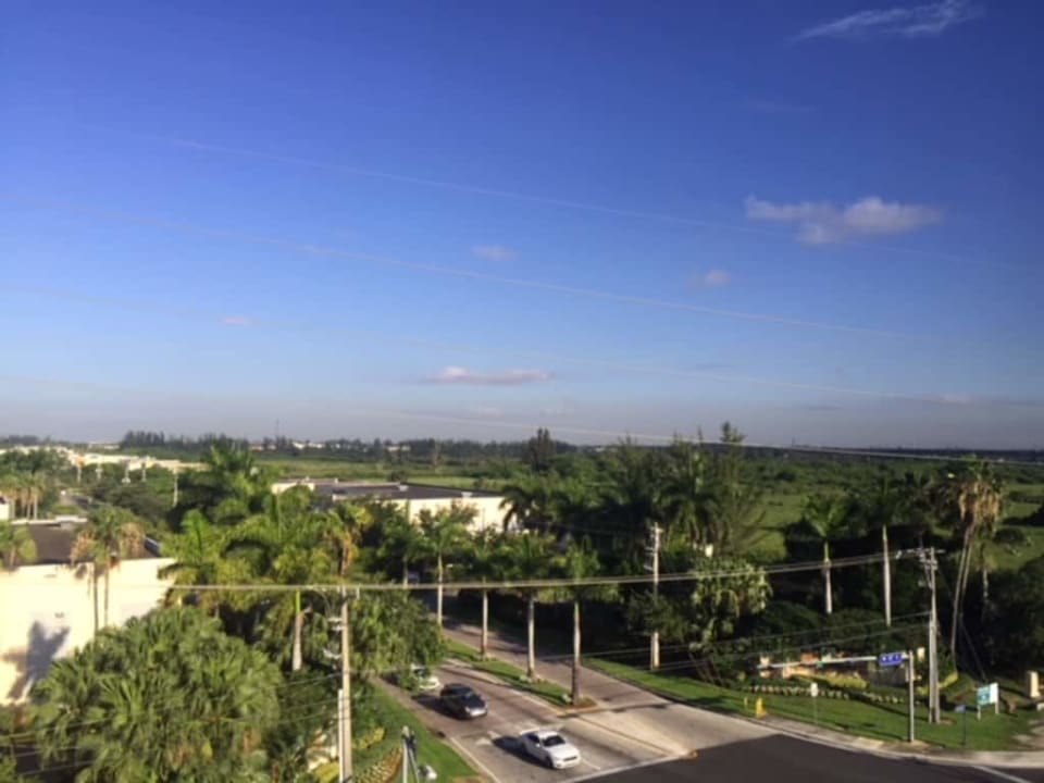 Widok  Element Miami Doral