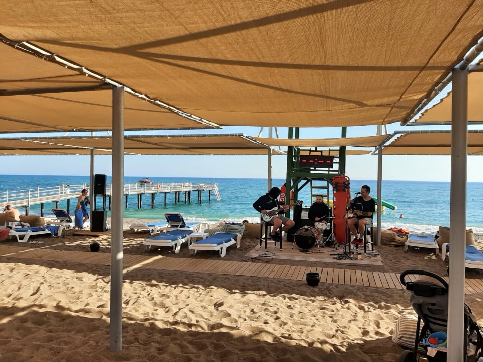 Strand TUI BLUE Palm Garden