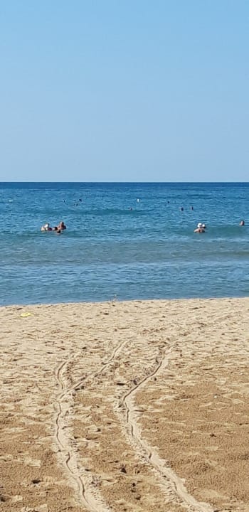 Strand TUI BLUE Xanthe