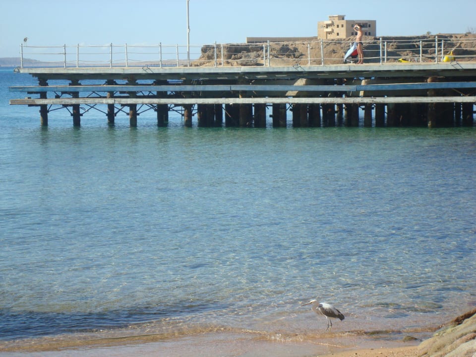 Пляж Aqua Park Resort