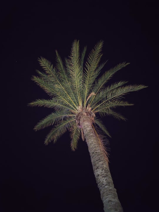 Sonstiges Hotel Miramare Beach