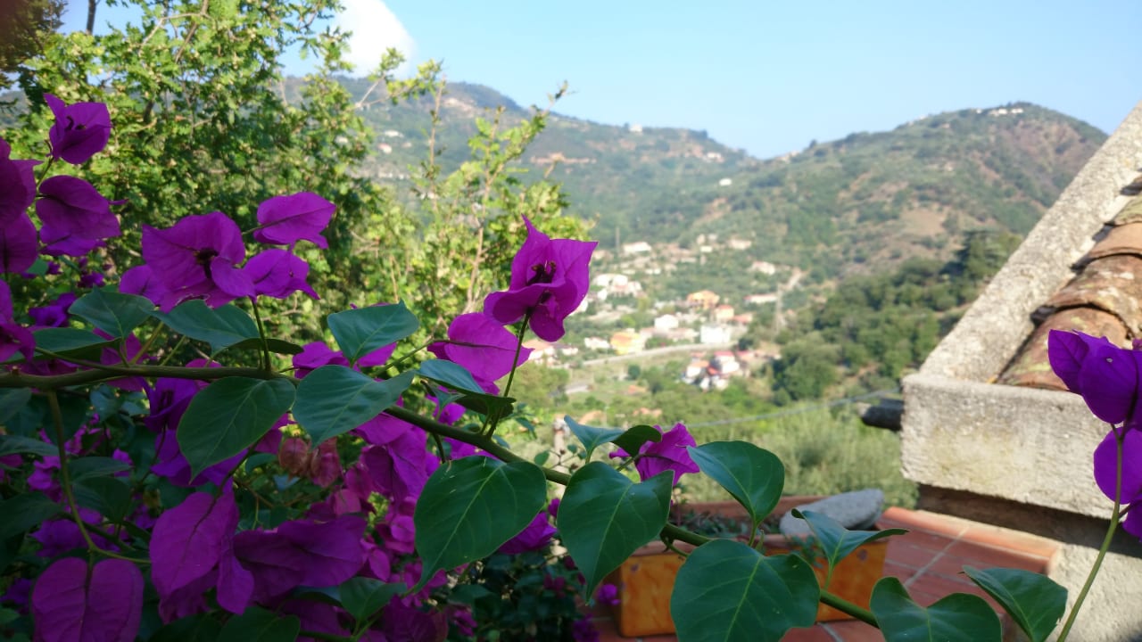 Ausblick Residence Borgo San Francesco
