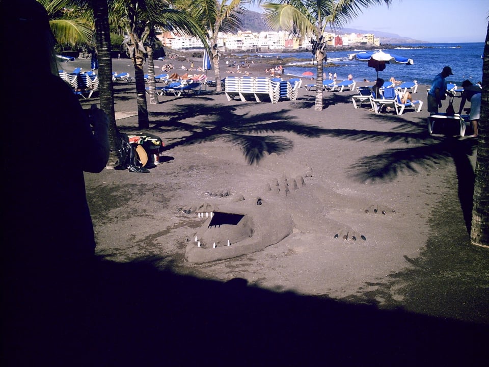 Krokodil am Strand Be Live Tenerife - Adults only