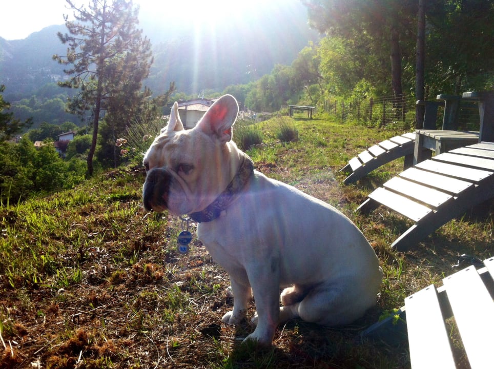 Im großen Garten, der (leider noch) ohne Pool ist. Apartments Borgo le Vigne