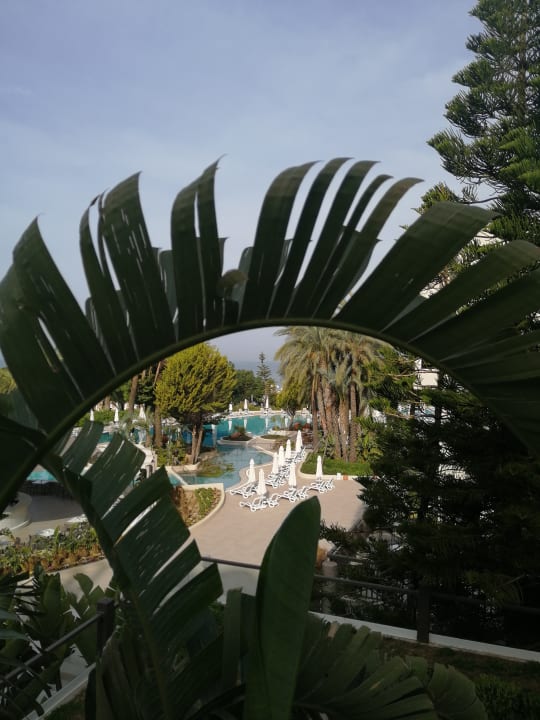 Ausblick PALOMA Perissia