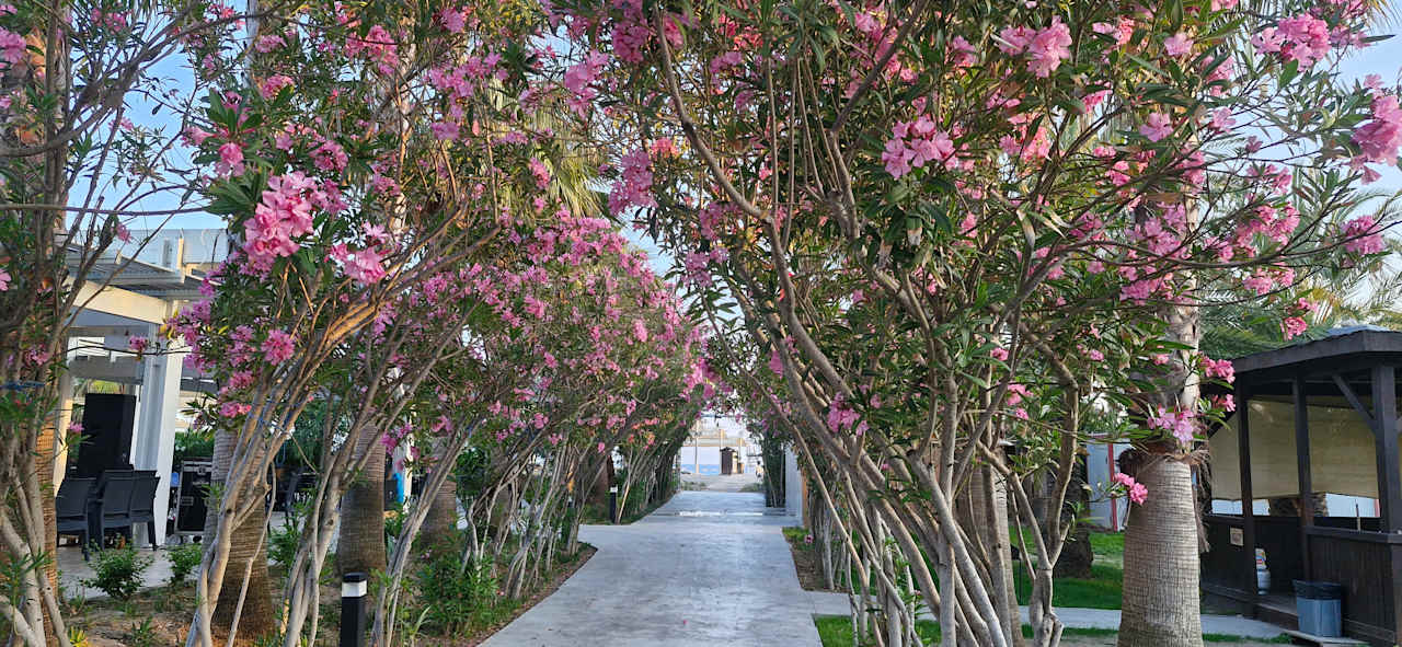 Sport & Freizeit Seaden Sea World Resort & Spa