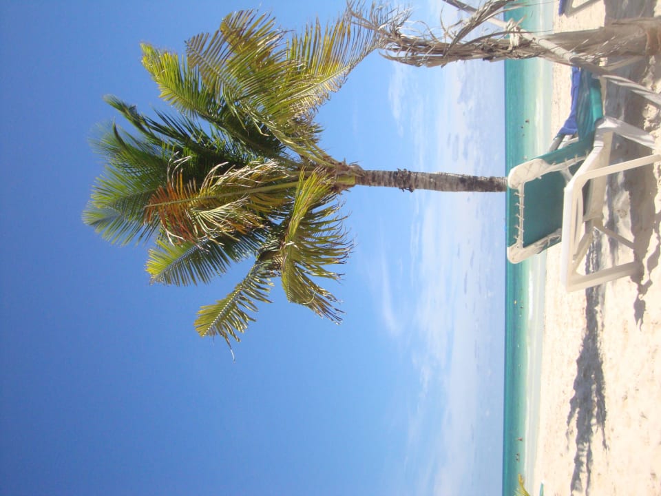 Hotel Catalonia Playa Maroma Catalonia Playa Maroma