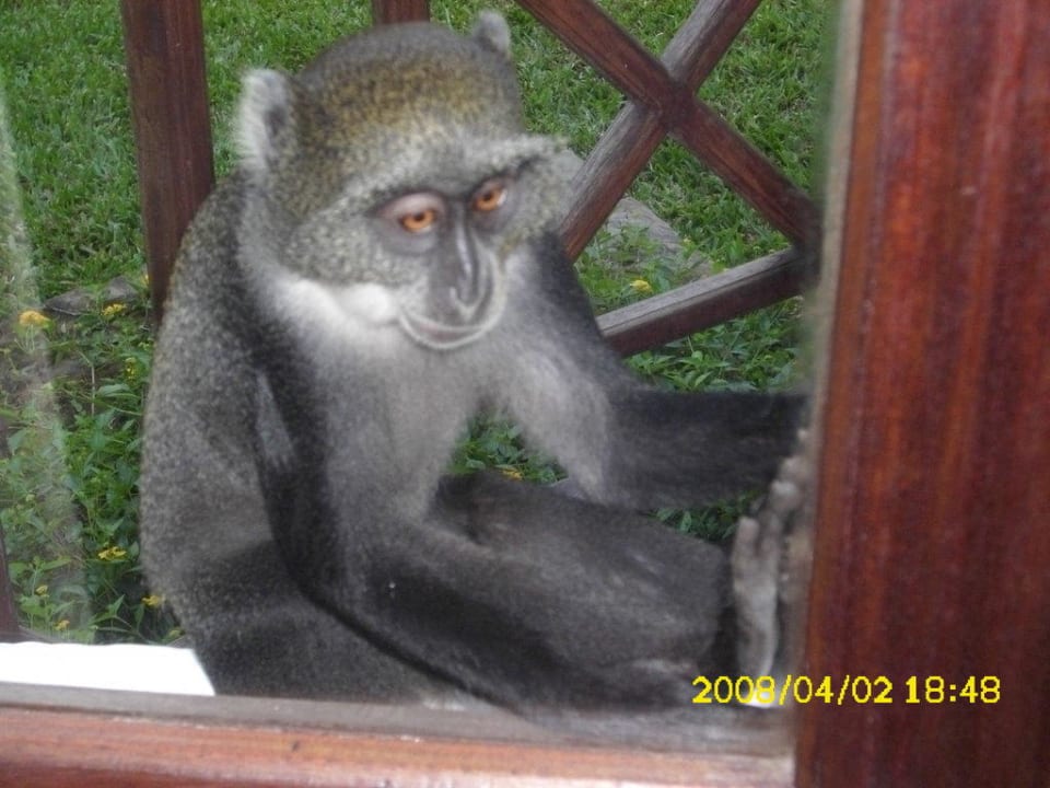 Affen Neptune Village Beach Resort & Spa