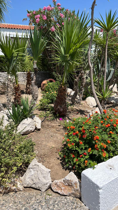 Gartenanlage Grecotel LUXME Dama Dama