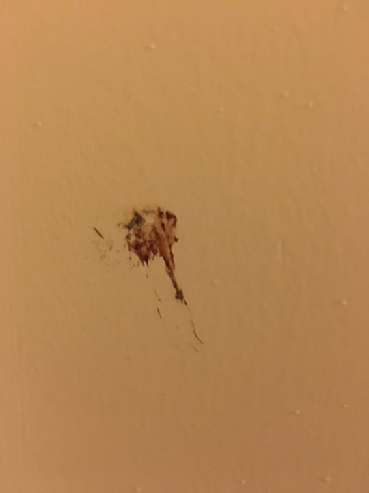 Zimmer Club Resort Atlantis