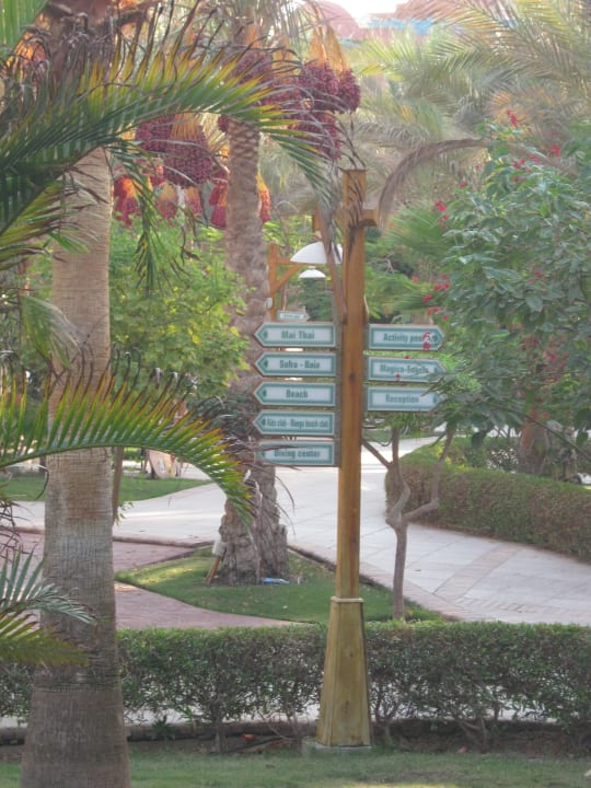 Überall gibt es Dattelpalmen und Wegbeschreibungen TUI MAGIC LIFE Redsina Sharm El Sheikh