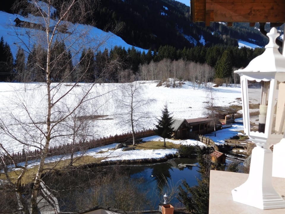 Forellenteich Alphotel Tyrol