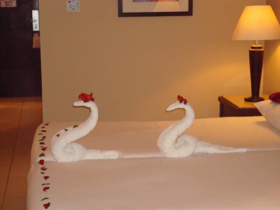 Haustiere  Jaz Dar EL Madina