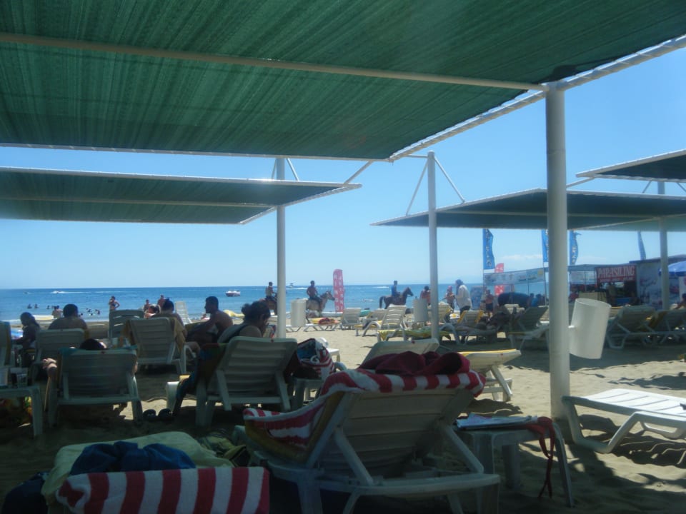 Liegen Side Alegria Hotel & Spa - Adults only +16