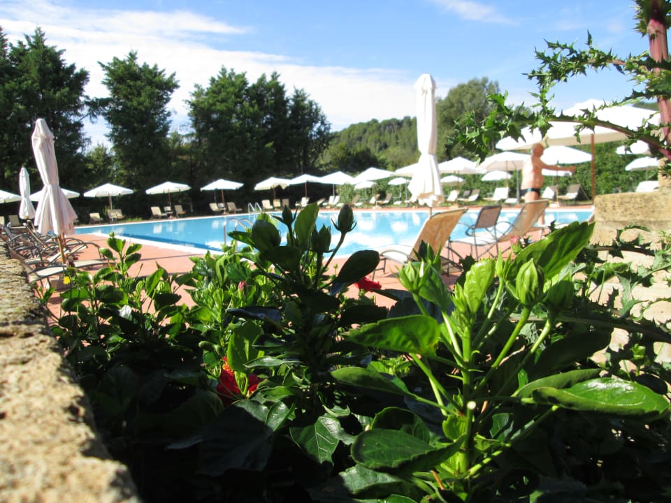 Pool Fattoria La Steccaia