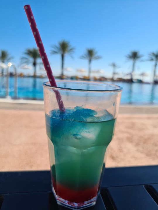 Gastro Papillon Belvil