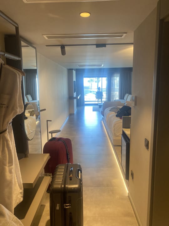 Zimmer Paloma Finesse