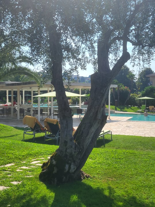 Pool Color Hotel
