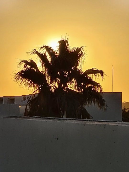 Ausblick Akumal Bay Beach & Wellness Resort