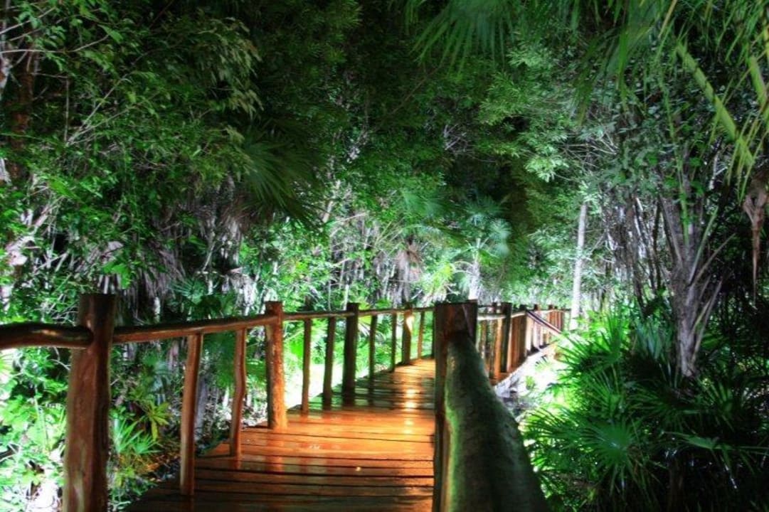 Stege bei Nacht Grand Palladium Kantenah Resort & Spa