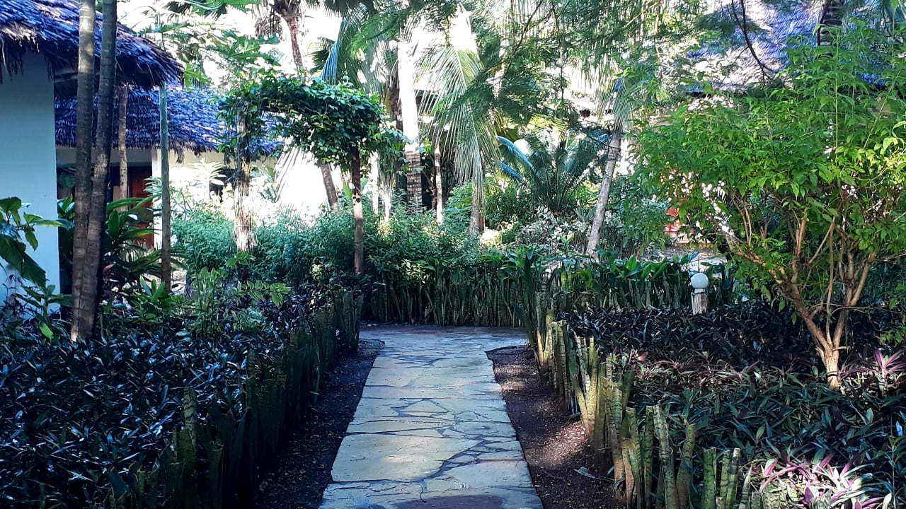 Gartenanlage Spice Island Hotel & Resort