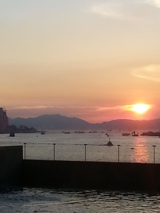 Blick vom Pool Hotel Harbour Grand Hong Kong