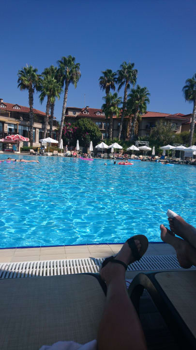 Pool Alba Resort Hotel