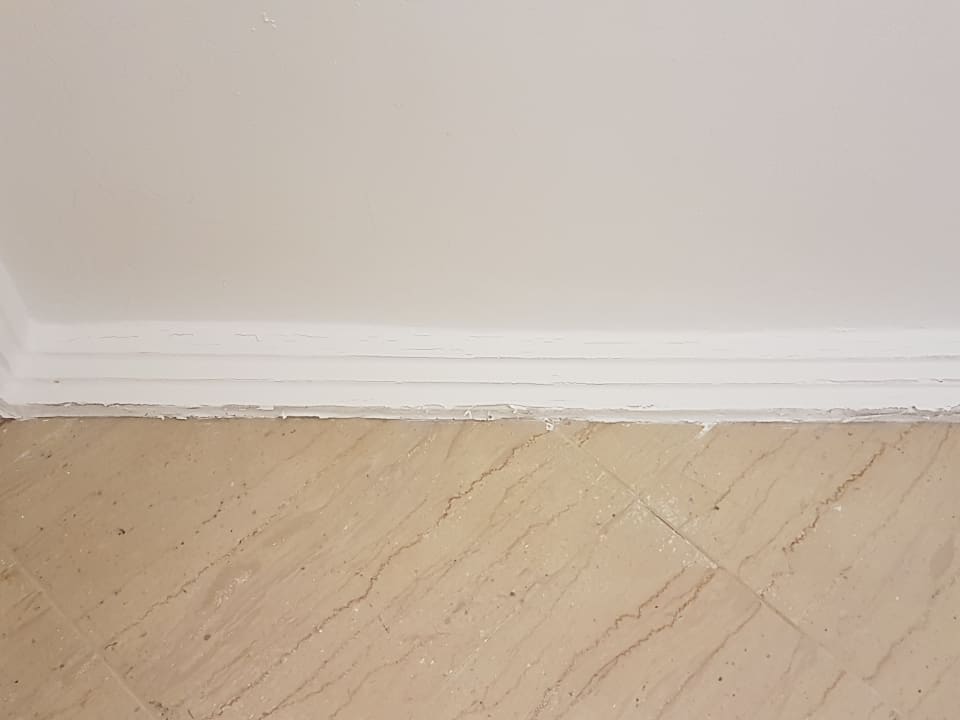 Zimmer Mitsis Selection Rinela