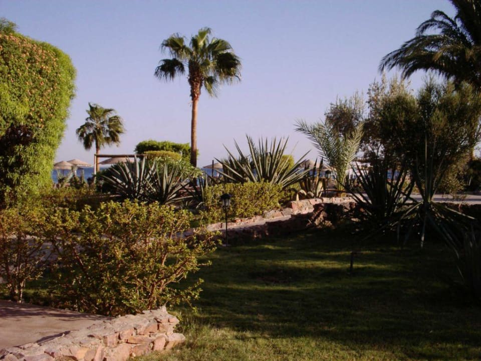 Gartenanlage Eagles Paradise Abu Soma