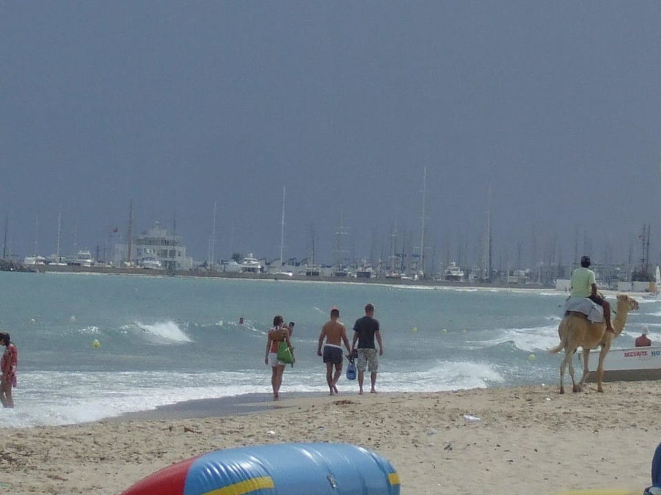 Wildes Meer, kurz vor dem Sturm. AQI Venus Beach