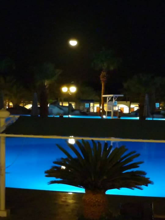 Pool Sultan Gardens Resort