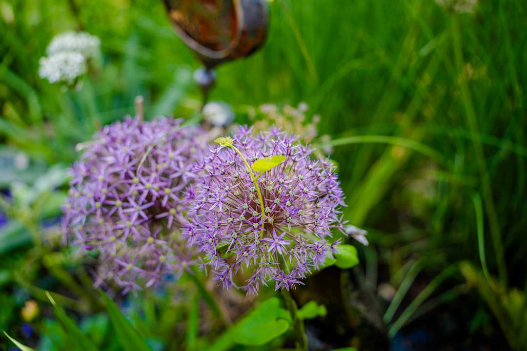 Außenansicht Hotel Berghof Baumgartner