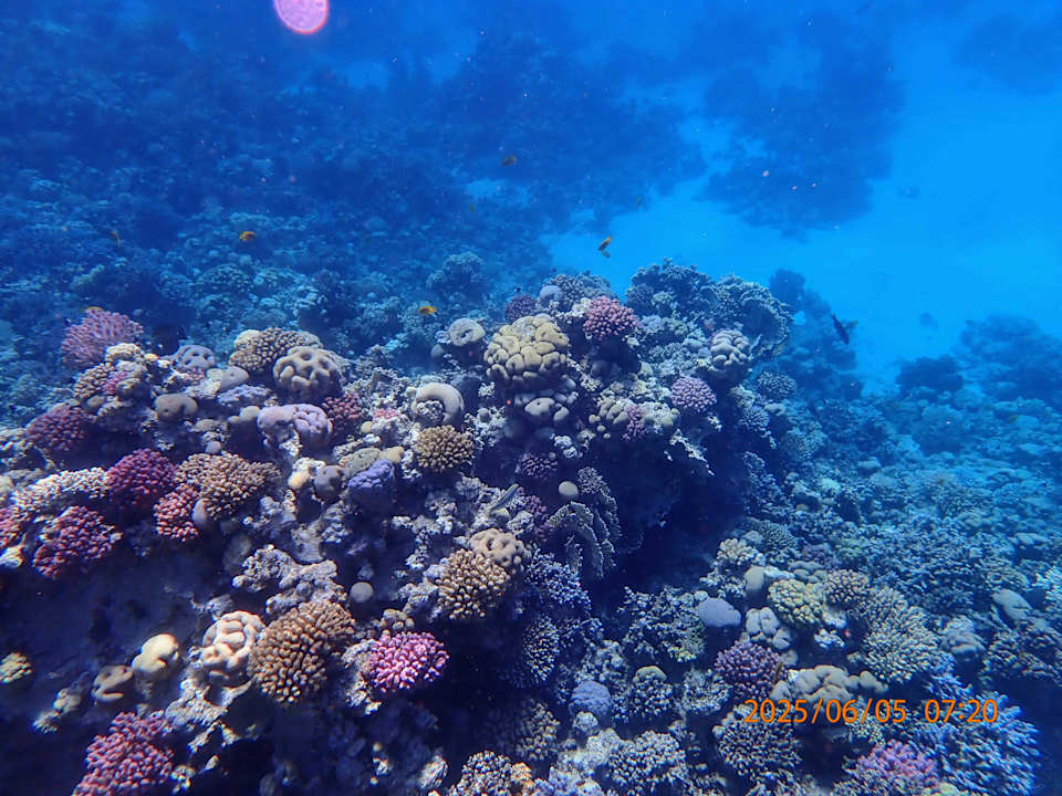 Strand Makadi Spa - Adults only