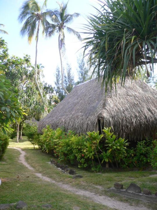 Hôtel Hibiscus Hotel Hibiscus