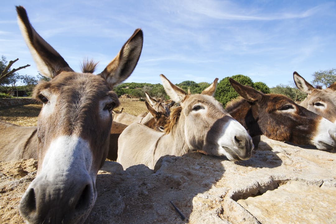 Sonstiges Residenze Di Campagna San Giuliano