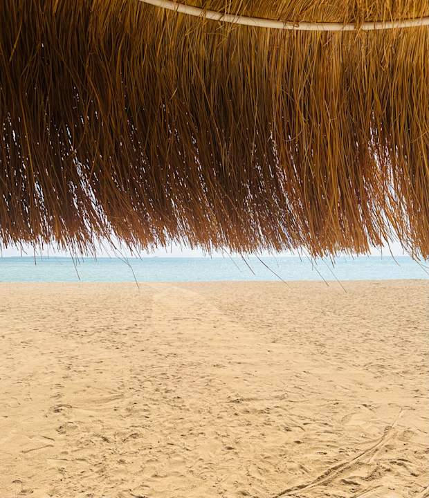 Strand JAZ Elite Asteria