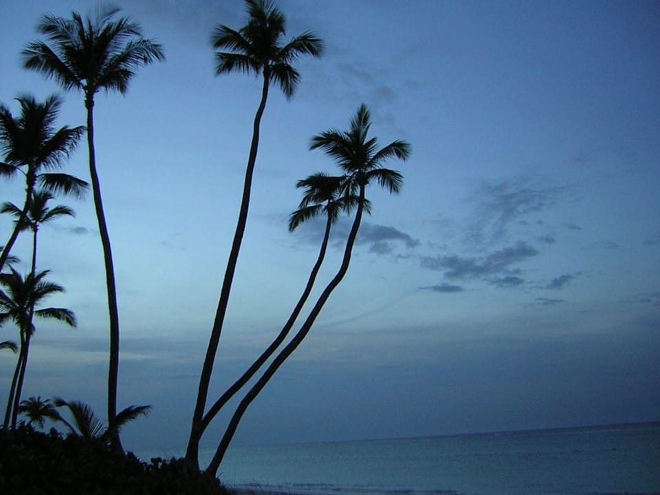 Dämmerung Grand Palladium Select Bávaro Resort & Spa