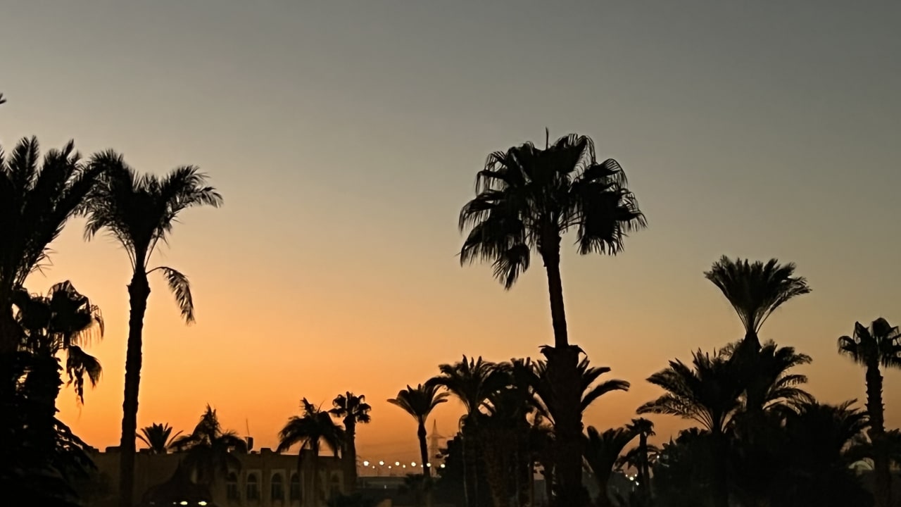 Ausblick Aladdin Beach Resort